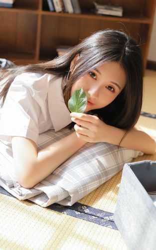 重生之鹏程万里