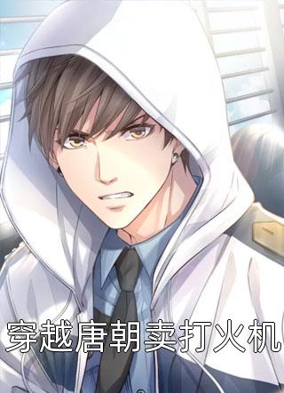 空洞骑士：虚空意志