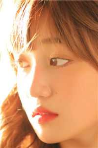 官婿美人香