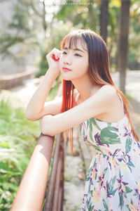本命龙仙