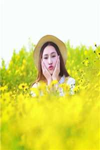 高质量小说阅读入赘为婿后，他只想吃软饭