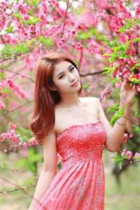 重生后，我打脸了渣男绿茶全章节阅读
