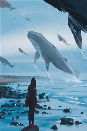 流星之下明星璀璨