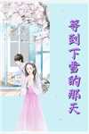 陆总娇妻是公主大佬全文
