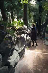 全章节重生后，她嫁奸臣虐渣夫