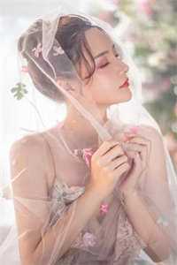 陛下！您家皇贵妃真没想争宠全文