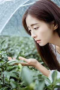 暗里沉醉热门小说