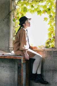 探花郎，悔婚后你可后悔？完整版阅读