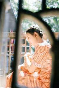 寒门帝婿全本小说