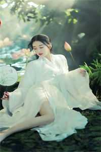 权途红颜畅销小说