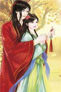 宏图美人志全本小说阅读