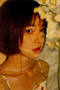 人在桃花岛，开局获得飞刀绝技完整版
