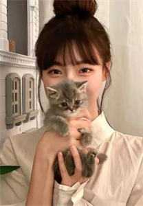 豪门弃女惹不起热门作品