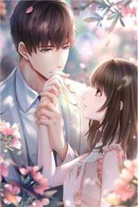 热门小说闪婚港商：夫人她一胎三宝