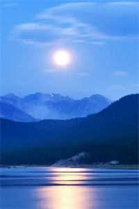 畅销巨著入夜，对她上瘾