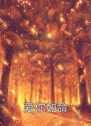 风起官途全本小说推荐