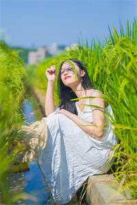 夫妻修仙：我和道侣靠种植崛起优秀文集