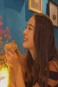 畅销书籍暗恋成真，我和女神先婚后爱