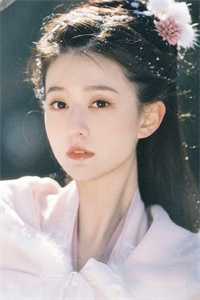 官场：从离婚后扶摇直上完整文集