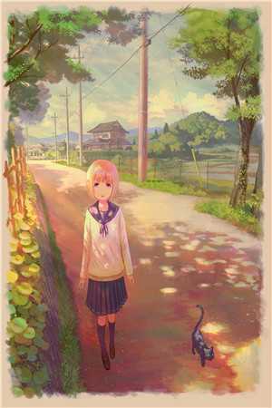 我的高冷女总裁全文版