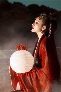 观音婢精彩小说