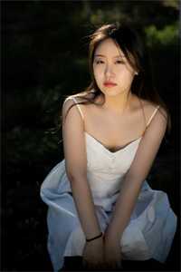 禀告首辅，夫人她又去给你物色美女了畅销巨作