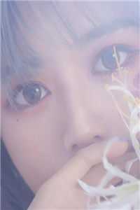 爱如夕阳文章精选阅读