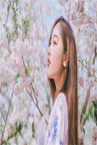舐犊情深