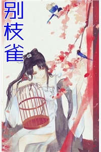 沈怀筠慕容简小说
