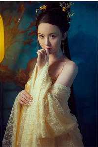 热门小说官场：一个小人物的野望