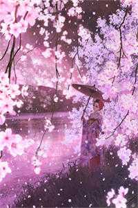 花都小龙王精修版