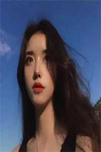 精品文官婿美人香