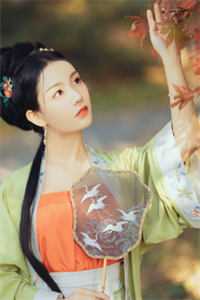 天才医师畅销巨著
