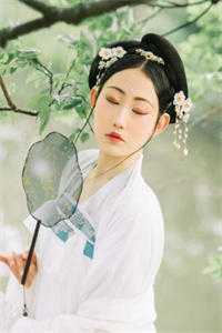 官婿美人香全文小说