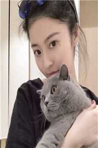精品篇离婚后，豪门大佬追妻火葬场