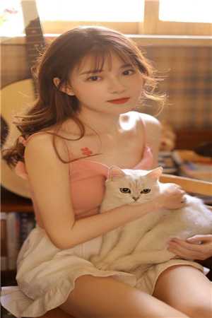 全文完结官道凶猛