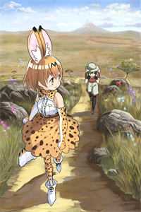 完整篇章官路芳美人