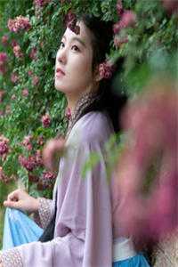 全文小说闻香识官途刘云李玉婷