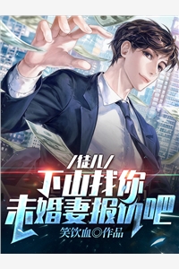 官嫂全局