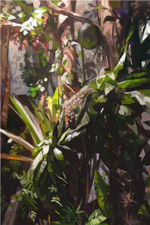 爱意似雾将散小说全文免费阅读沈南风姜时宜<