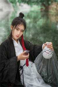 留不住雁阵南渡无错版