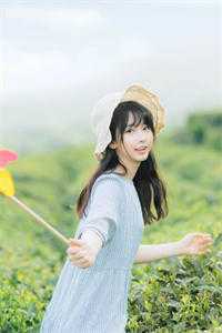 狗熊岭新篇：伐木之争的回响<