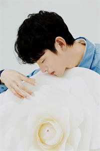 活成前任白月光后，她桃花朵朵开完结txt<