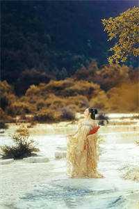 权道之夫人们太给力了李静怡林皓结局+番外<