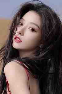 不负如来只负卿<