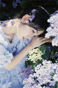 穿书成男主前妻我爆红了<