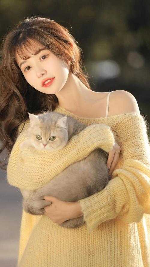 逐梦演艺圈全文+结局+番外<