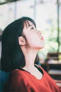 重生之鹏程万里后续
