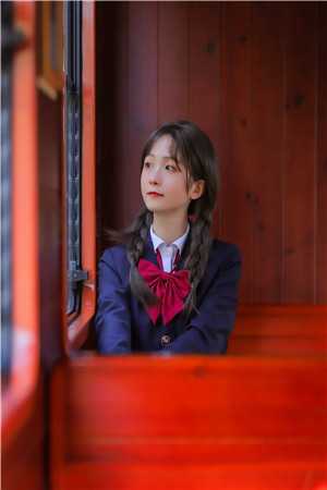 夕木又逢春后续+结局<