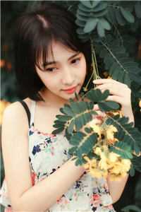 年少的梦与你有关林晓李承翼<